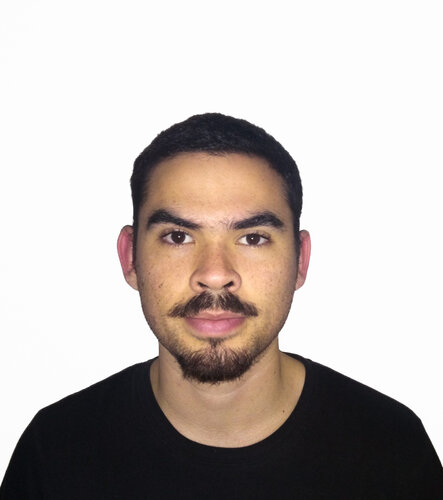 Raul Zamorano-Illanes